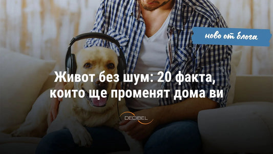 Живот без шум: 20 факта, които ще променят дома ви