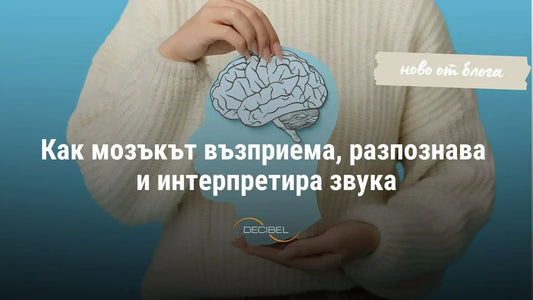 Как мозъкът възприема, разпознава и интерпретира звука