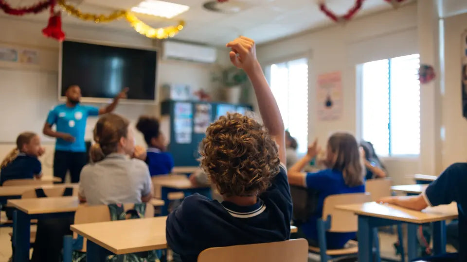 Wood Wool Acoustic board Sound absorbing panel for schools